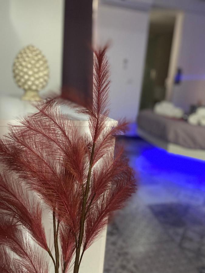 Appartement Brimiky House *
